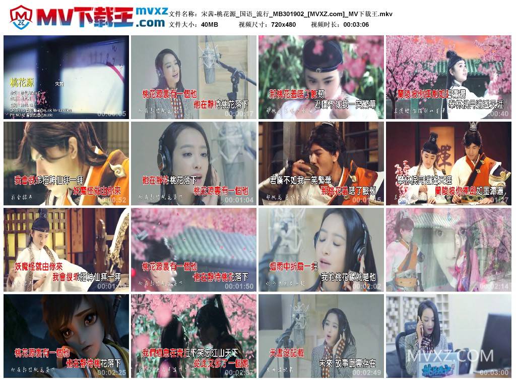 宋茜-桃花源_国语_流行_MB301902